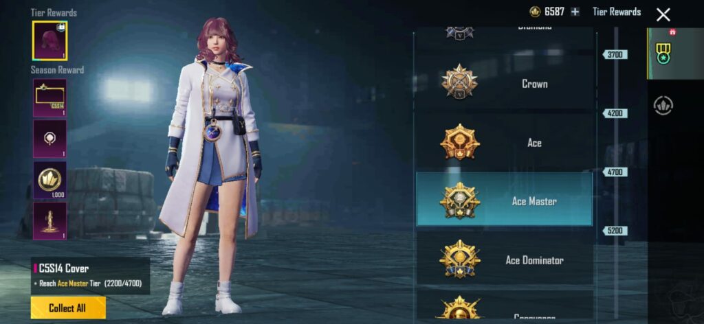PUBGM C5S14 Cover